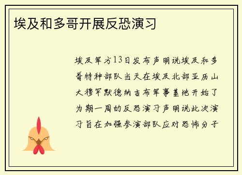 埃及和多哥开展反恐演习