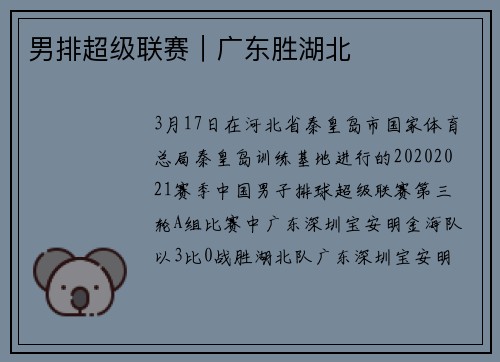 男排超级联赛｜广东胜湖北