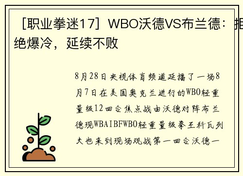 ［职业拳迷17］WBO沃德VS布兰德：拒绝爆冷，延续不败